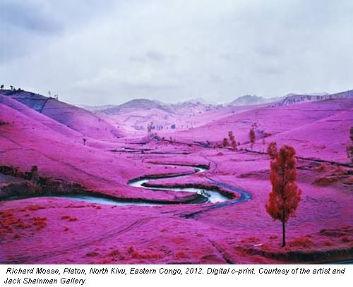 Richard Mosse, Platon, North Kivu, Eastern Congo, 2012. Digital c-print. Courtesy of the artist and Jack Shainman Gallery.