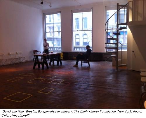 David and Marc Breslin, Bouganvillea in January, The Emily Harvey Foundation, New York. Photo: Chiara Vecchiarelli