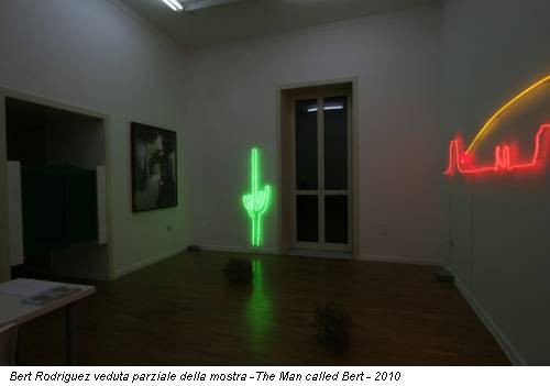 Bert Rodriguez veduta parziale della mostra -The Man called Bert - 2010