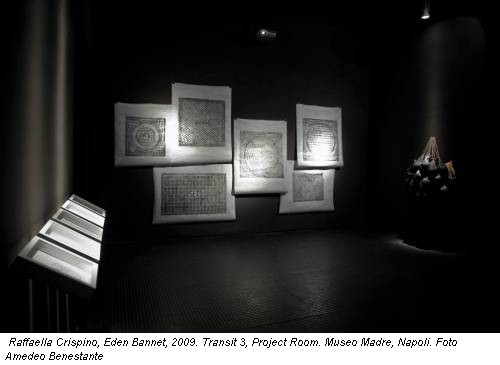 Raffaella Crispino, Eden Bannet, 2009. Transit 3, Project Room. Museo Madre, Napoli. Foto Amedeo Benestante