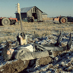 Micol Assel e la sua rassegna d’autore