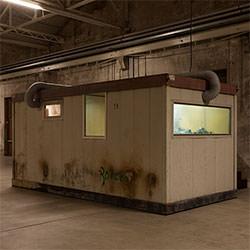 Micol Assel e la sua rassegna d’autore