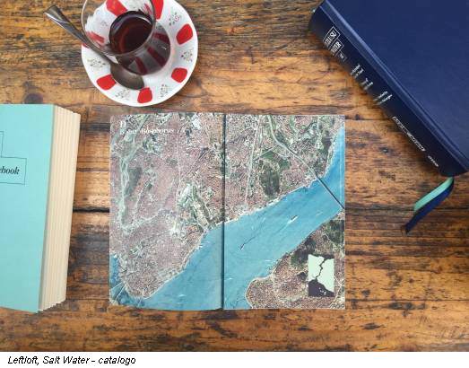 Leftloft, Salt Water - catalogo