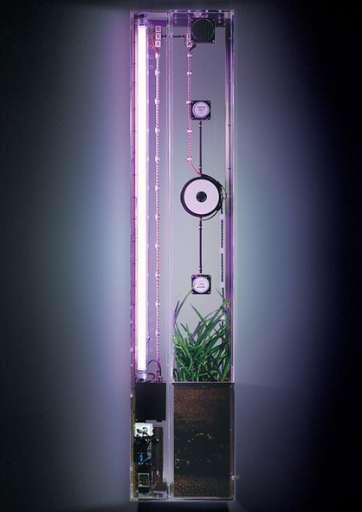 fino al 4.II.2005 | Nicola Toffolini | Trieste, LipanjePuntin Artecontemporanea fino al 4.II.2005 | Nicola Toffolini | Trieste, LipanjePuntin Artecontemporanea