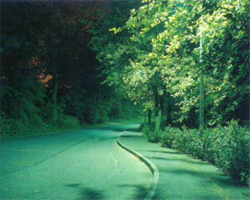 fino al 26.II.2005 | Mary McIntyre – Esterno notte | Verona, Arte e Ricambi fino al 26.II.2005 | Mary McIntyre – Esterno notte | Verona, Arte e Ricambi