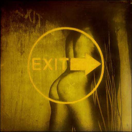 fino al 31.I.2005 | Massimo Attardi | Lecce, Primo Piano LivinGallery fino al 31.I.2005 | Massimo Attardi | Lecce, Primo Piano LivinGallery