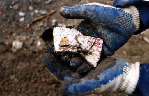 fino al 14.III.2005 | Mark Dion – Project 82 | New York, MoMA