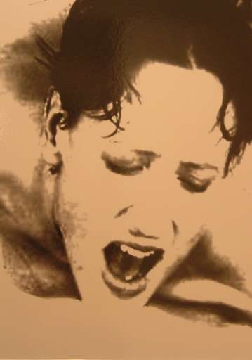 fino al 11.II.2005 | Mauro Ghiglione – Fresh and Clean Fright | Venezia, Galleria Michela Rizzo fino al 11.II.2005 | Mauro Ghiglione – Fresh and Clean Fright | Venezia, Galleria Michela Rizzo