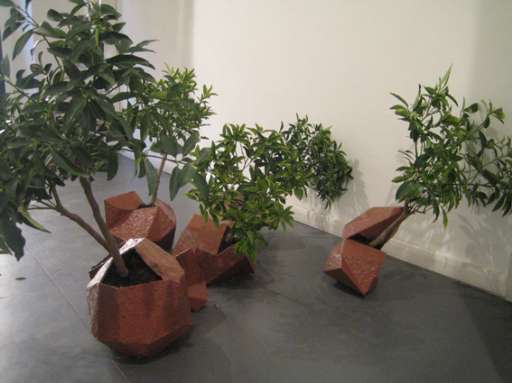 fino al 23.III.2005 | Jacob Cook / Robert Ochardson – Beyond | Roma, Monitor