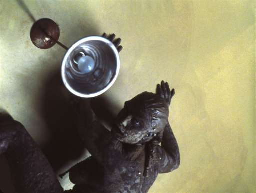 fino al 20.III.2005 | Ann-Sofi Sidén | Stoccolma, Moderna Museet