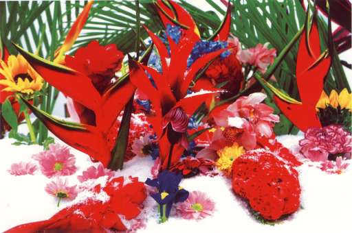 fino al 31.V.2005 | Marc Quinn – Winter Garden | Roma, Galleria Alessandra Bonomo