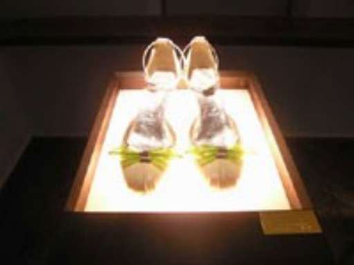 fino all’1.IV.2005 | Fresh | Venezia, Galleria A+A