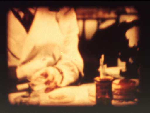 fino al 27.III.2005 | Ferrariofrères – Fore Th’e Neidfaerae | Bergamo, Teatro Sociale fino al 27.III.2005 | Ferrariofrères – Fore Th’e Neidfaerae | Bergamo, Teatro Sociale