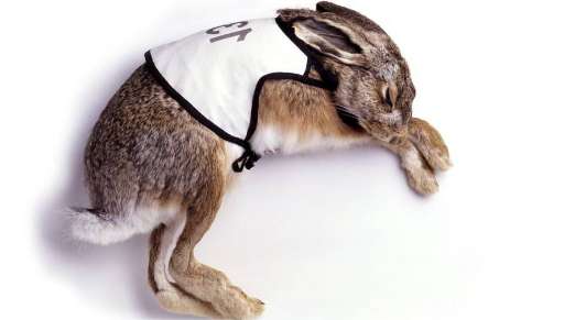 Milano FuoriSalone. Via Farini punta sul design olandese