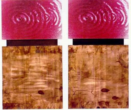 Varese, Premio Ghiggini per giovani artisti. Ha vinto Marco Anzani