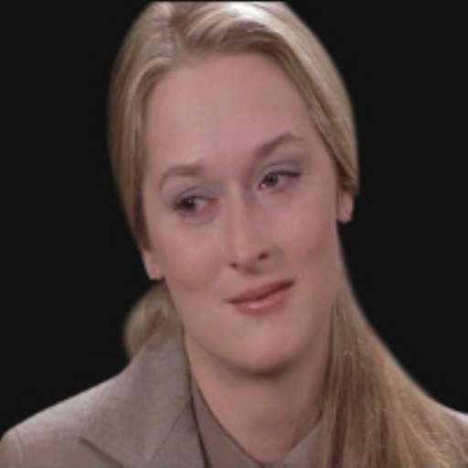 fino al 24.IV.2005 | Candice Breitz – Mother+Father | Rivoli (to), Castello di Rivoli