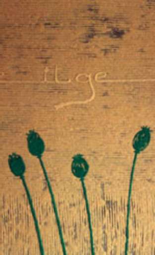 fino al 20.IV.2005 | Davide Grazioli – Accidental/Occidental | Bologna, NT Art Gallery fino al 20.IV.2005 | Davide Grazioli – Accidental/Occidental | Bologna, NT Art Gallery