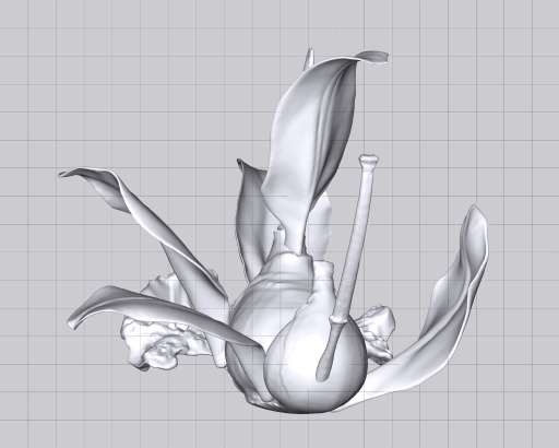 fino al 30.IV.2005 | Carla Mattii – Type / No Type | Brescia, fabioparisartgallery fino al 30.IV.2005 | Carla Mattii – Type / No Type | Brescia, fabioparisartgallery