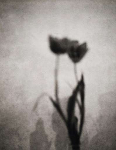 fino al 22.V.2005 | Patti Smith – Land 250 | Roma, Palazzo Fontana di Trevi