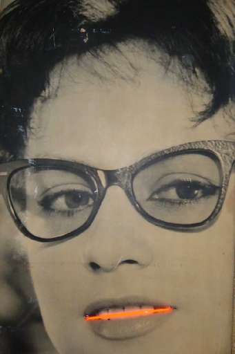 fino al 22.V.2005 | Crysalis. Teoria dell’evoluzione | Bari / Trani, Castello