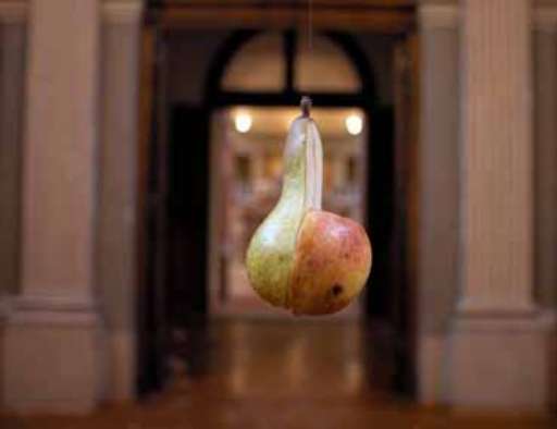 fino all’1.VI.2005 | Urs Fischer – Jet Set lady | Milano, Istituto dei Ciechi