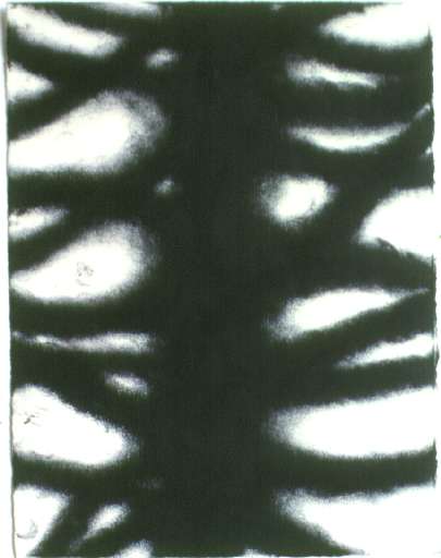 fino al 28.V.2005 | Christiane Löhr | Milano, Galleria Salvatore+Caroline Ala