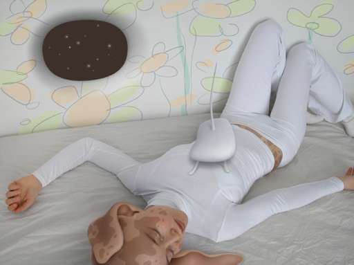 fino al 26.IX.2005 | Bologna contemporanea | Bologna, GAM fino al 26.IX.2005 | Bologna contemporanea | Bologna, GAM