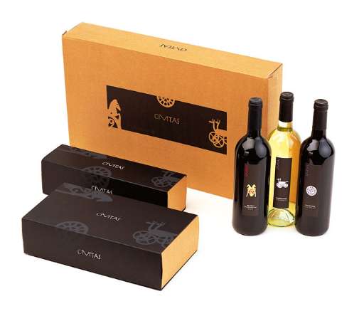 Il Vino Civitas in sostegno dell’arte. Finanziati i restauri di un’altra importante opera d’arte