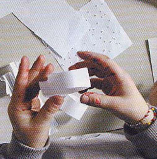 didattica_consuntivo | Crescere con tatto | Fiera di Primiero (tn) didattica_consuntivo | Crescere con tatto | Fiera di Primiero (tn)