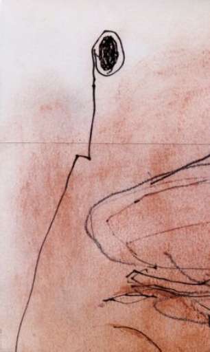 fino al 2.VII.2005 |  Carlo Patrone – La Cerebropittura | Udine, Artestudio Clocchiatti