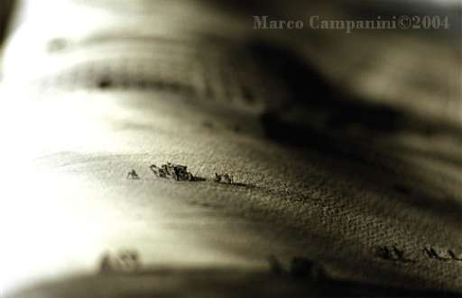 fino al 16.VII.2005 | Marco Campanini – Gli spazi dell’utopia | Torino, Vitamin Arte Contemporanea