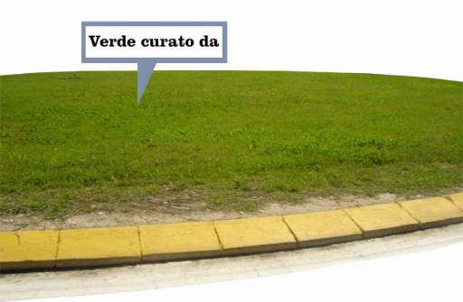 Ulivi d’artista nelle aiuole delle città. Verde curato da… Ettore Favini