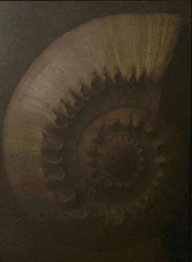 fino al 31.VII.2005 | Sergio Scabar – Silenzio di luce | Trieste, LipanjePuntin