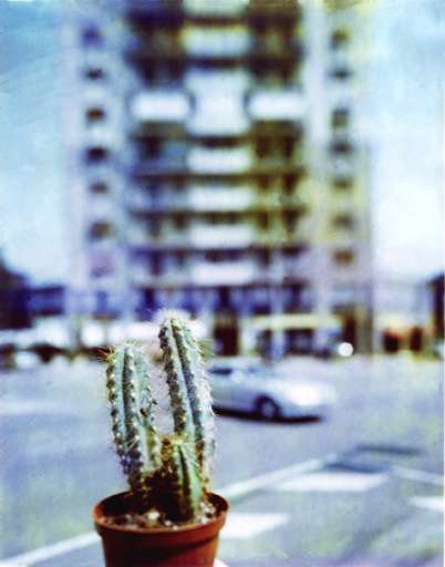 pre[ss]view | rotocalco #6