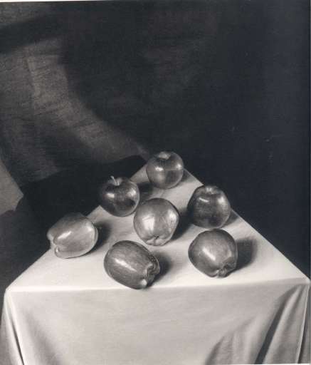 fino al 20.XI.2005 | Rolf Koppel – Light in dark | Roma, Galleria Luxardo fino al 20.XI.2005 | Rolf Koppel – Light in dark | Roma, Galleria Luxardo