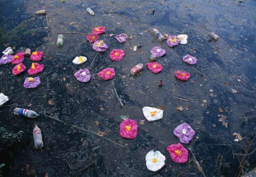 Parola di critico | Nymphomaniac, oltre il sesso | Parola di critico | Nymphomaniac, oltre il sesso |