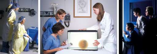 Assegnato il Premio Aletti – Art(Verona. Vince una giovane americana