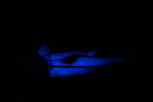 fino al 6.XI.2005 | Alessandro Lupi | Genova, Guidi&Schoen