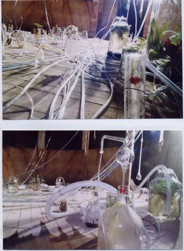 Un laboratorio scientifico in galleria. Inaugura a Milano la nuova sede di Klerkx