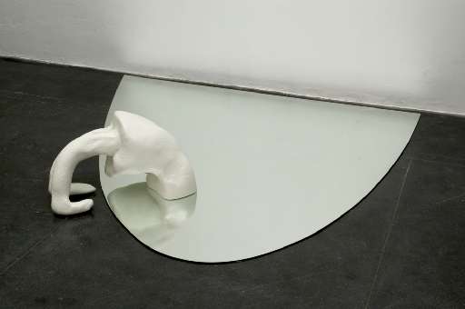 fino al 14.I.2006 | Valeska Soares – Narcissus | Torino, Vitamin