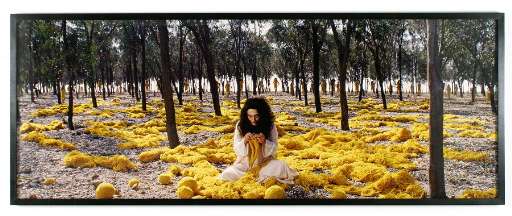 fino al 4.XII.05 | Shirin Neshat | Berlino, Hamburger Bahnhof