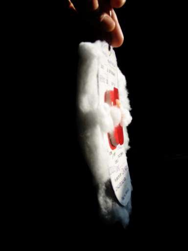 fino al 29.XI.2005 | More Brazil | Roma, a.k.a.