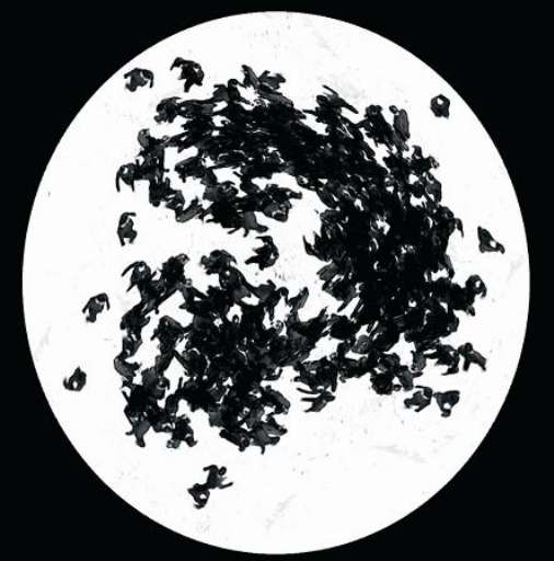 fino al 31.XII.2005 | Michal Rovner – Fields | Parigi, Jeu de Paume fino al 31.XII.2005 | Michal Rovner – Fields | Parigi, Jeu de Paume