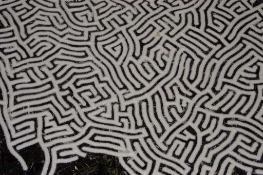 fino al 30.XII.2005 | Motoi Yamamoto – White Salt | Milano, Ierimonti Gallery