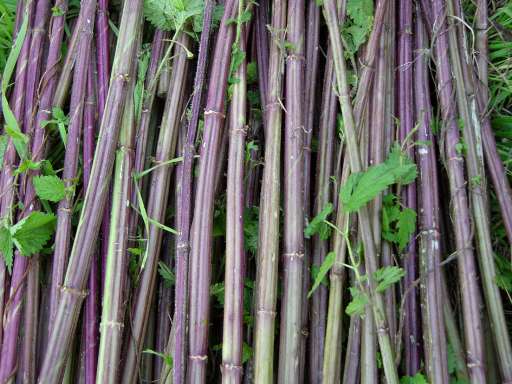 fino al 24.XII.2005 | Caretto / Spagna – Domesticazioni | Brescia, fabioparisartgallery fino al 24.XII.2005 | Caretto / Spagna – Domesticazioni | Brescia, fabioparisartgallery