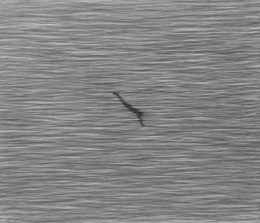 Premio Lissone 2005. Vince Jolanda Spagno