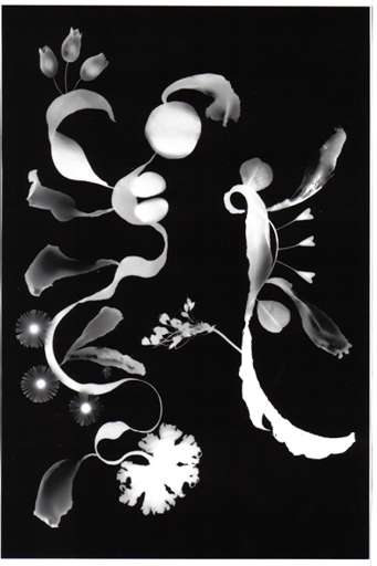 fino al 10.II.2006 | Michaela Maria Langenstein | Roma, Galleria Paolo Bonzano fino al 10.II.2006 | Michaela Maria Langenstein | Roma, Galleria Paolo Bonzano