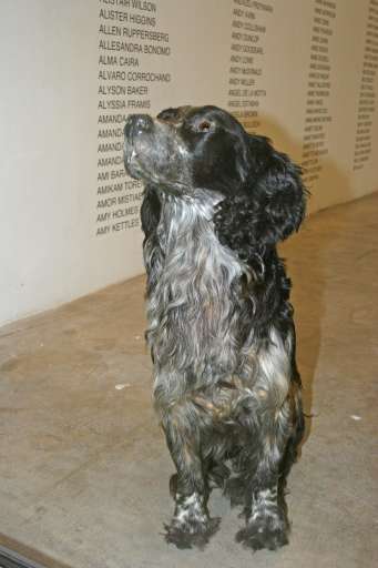 fino al 28.I.2006 | You & Me, Me & You | Milano, Fondazione Davide Halevim