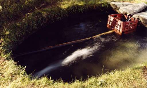 fino al 29.I.2006 | Radici d’acqua | Reggio Emilia, Chiostri di San Domenico