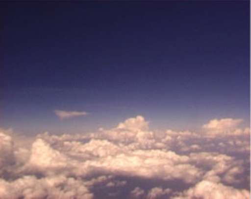 fino al 29.I.2006 | Paolo Ravalico Scerri – Mr Butterfly | Codroipo (ud), Villa Manin – Spazio FVG fino al 29.I.2006 | Paolo Ravalico Scerri – Mr Butterfly | Codroipo (ud), Villa Manin – Spazio FVG